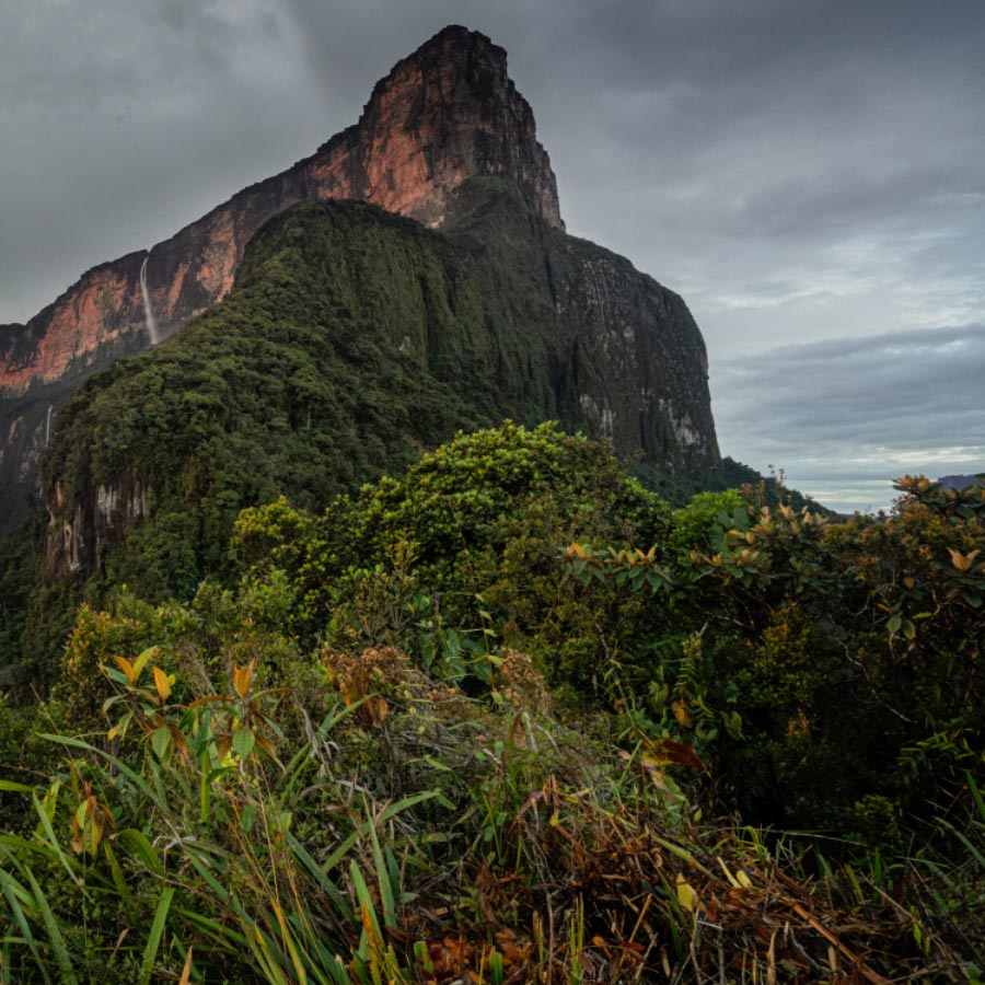 LindeWerdelin Leo Expeditions Roraima 4