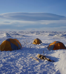 lw greenland trip 0