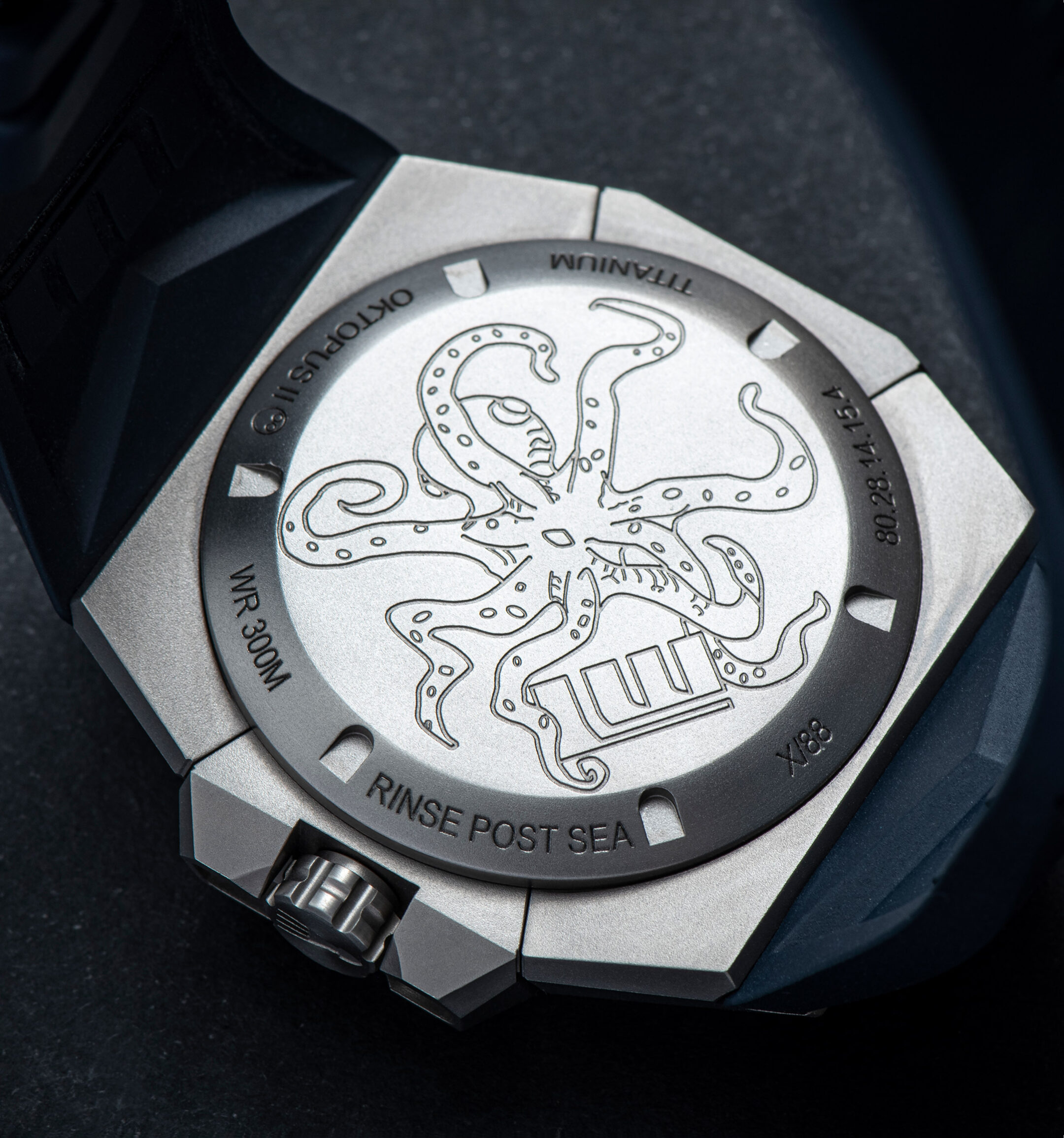 Lindewerdelin Oktopus Nord 03 1